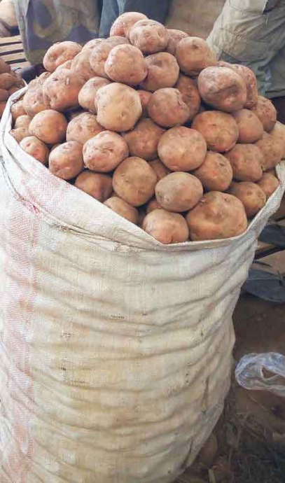 pomme de terre mauve