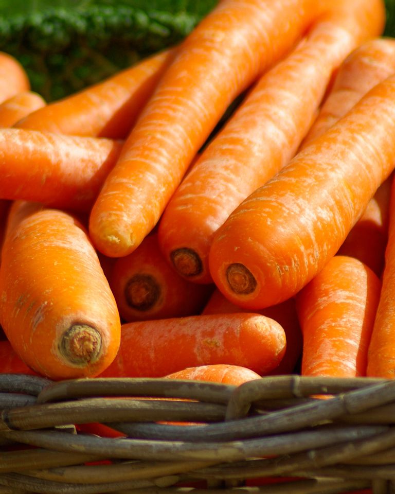 carotte